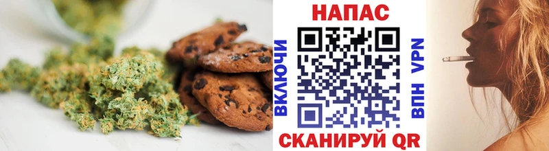 Canna-Cookies марихуана  Купить где  Волгореченск 