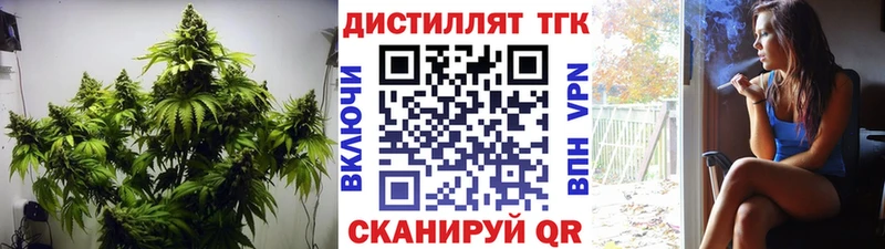 Купить закладки  Волгореченск  Дистиллят ТГК концентрат 