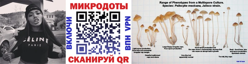 Купить где Волгореченск Псилоцибиновые грибы GOLDEN TEACHER